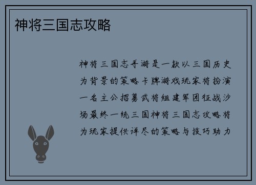 神将三国志攻略